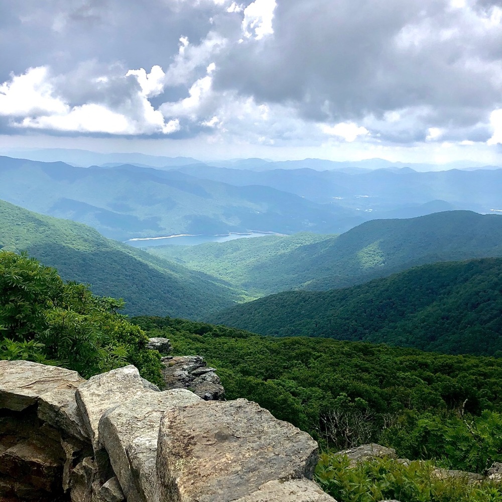 Meet your Posher, Rhea